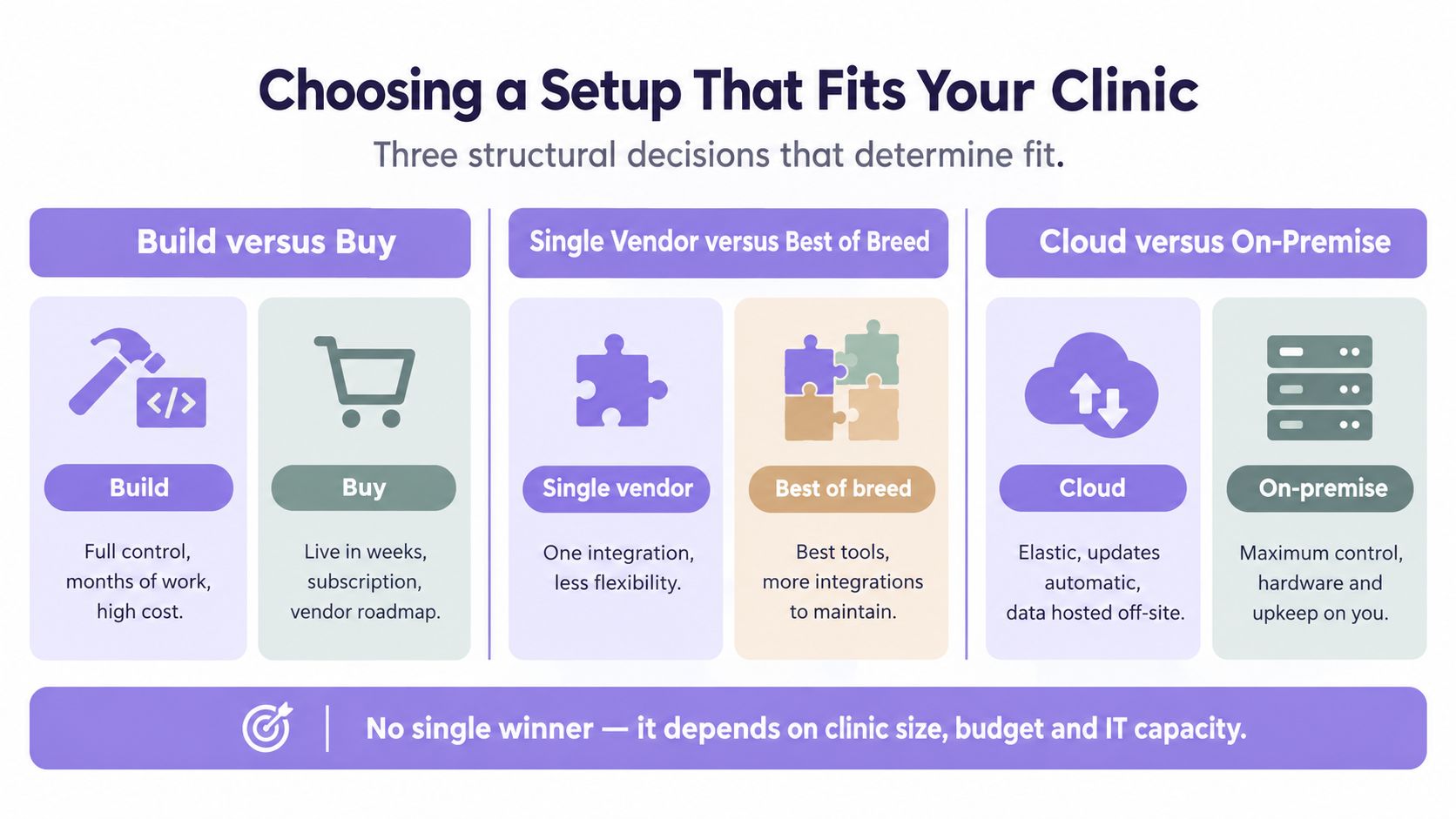 An infographic showing the three structural decisions for choosing clinic software: build vs buy, single vendor vs best-of-breed, and cloud vs on-premise.
